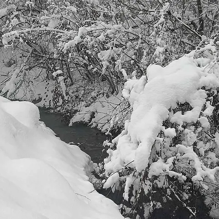 Dom wakacyjny Vikendica Jagodica