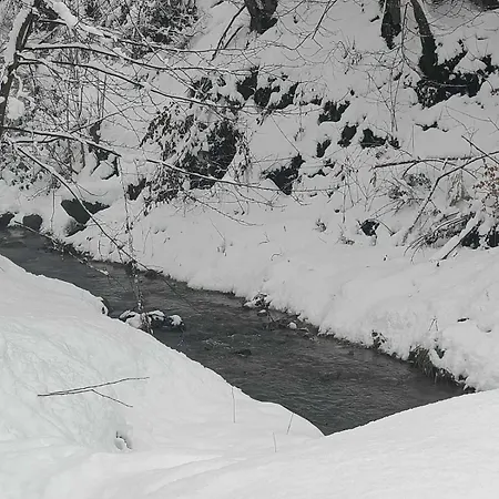 Vikendica Jagodica