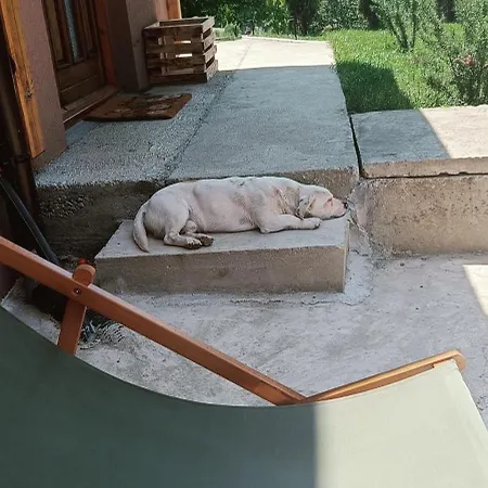 Vikendica Jagodica Dom wakacyjny